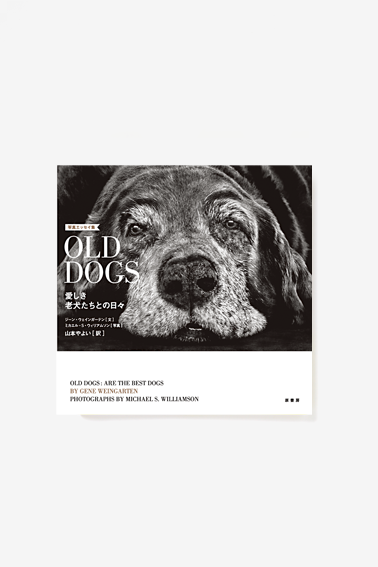 16-12-old-dogs